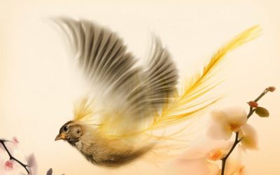 Kviečiame registruotis į meno mėgėjų kolektyvų šventę – Vilties paukštė 2017